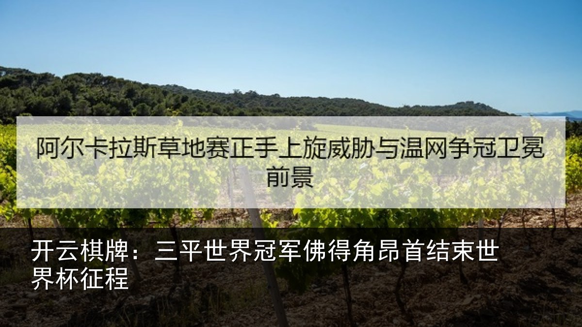 开云棋牌:三平世界冠军佛得角昂首结束世界杯征程