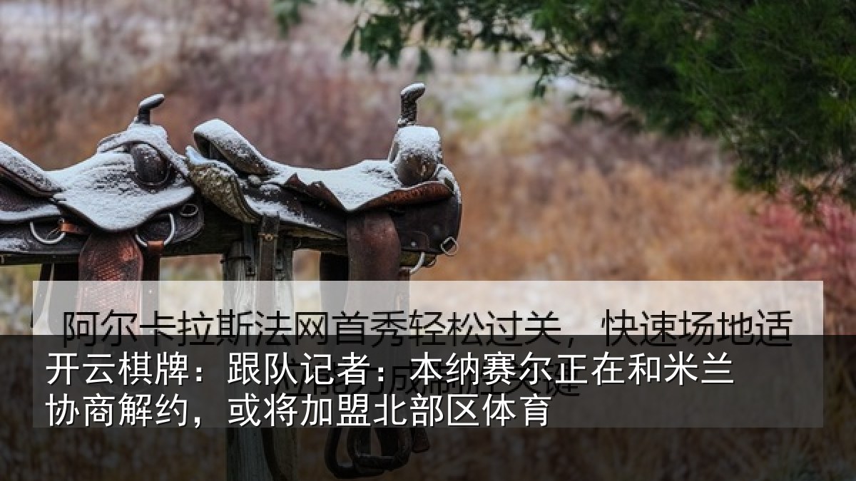 开云棋牌:跟队记者:本纳相关情况商解相关情况体育